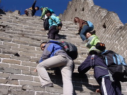 UniStrong��������Ƭ����