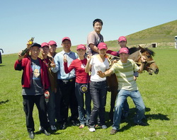 UniStrong��������Ƭ����