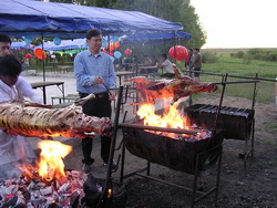 UniStrong��������Ƭ����